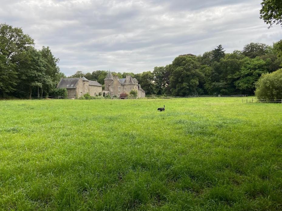 Château Ville Voisin Augan Exterior foto